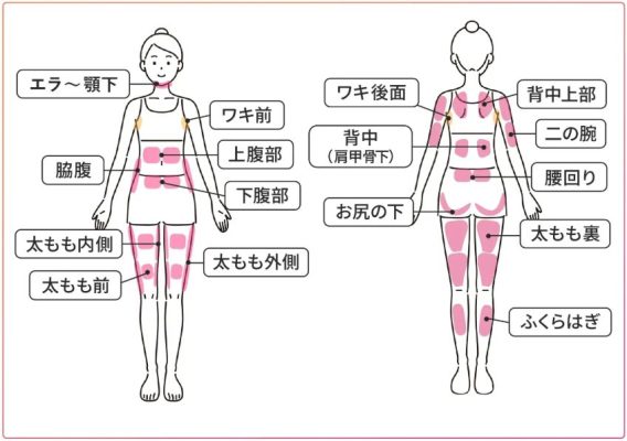 スルリム部位