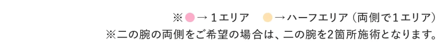 エリア