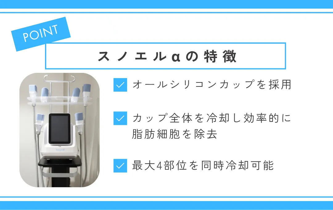 スノエルαの特徴