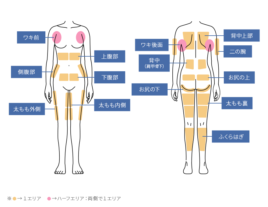 スルリム注射で体全体の適用部位について