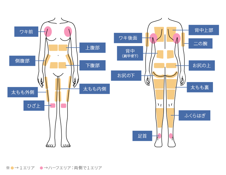 スルリム注射で体全体の適用部位について