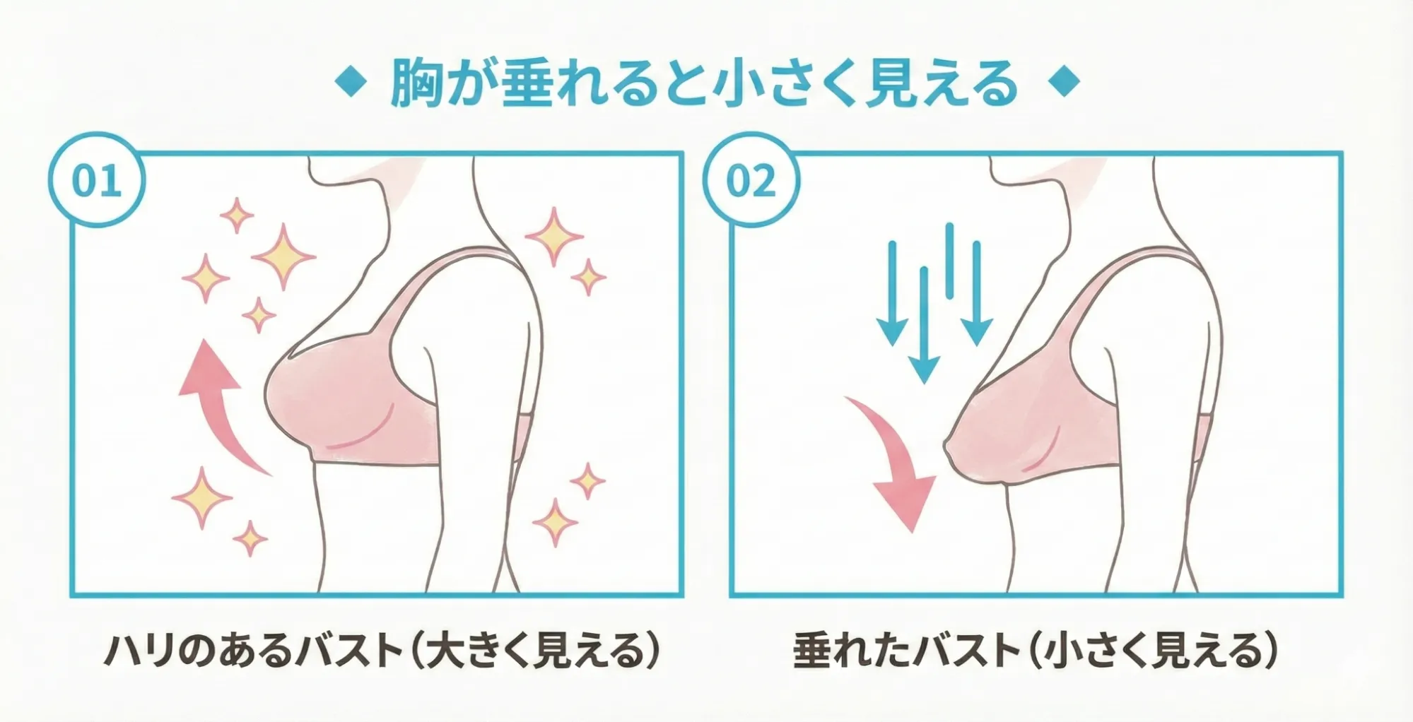 胸が垂れると小さく見える