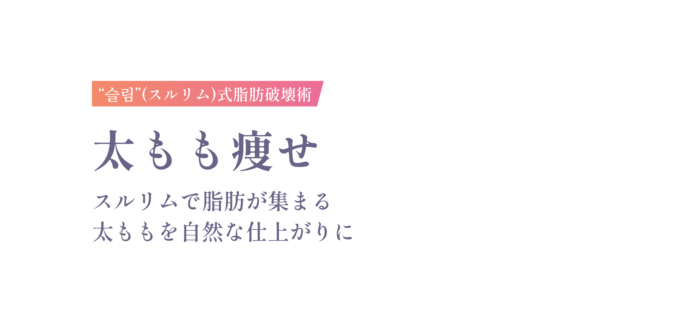 슬림(スルリム)式脂肪破壊術 太もも痩せ