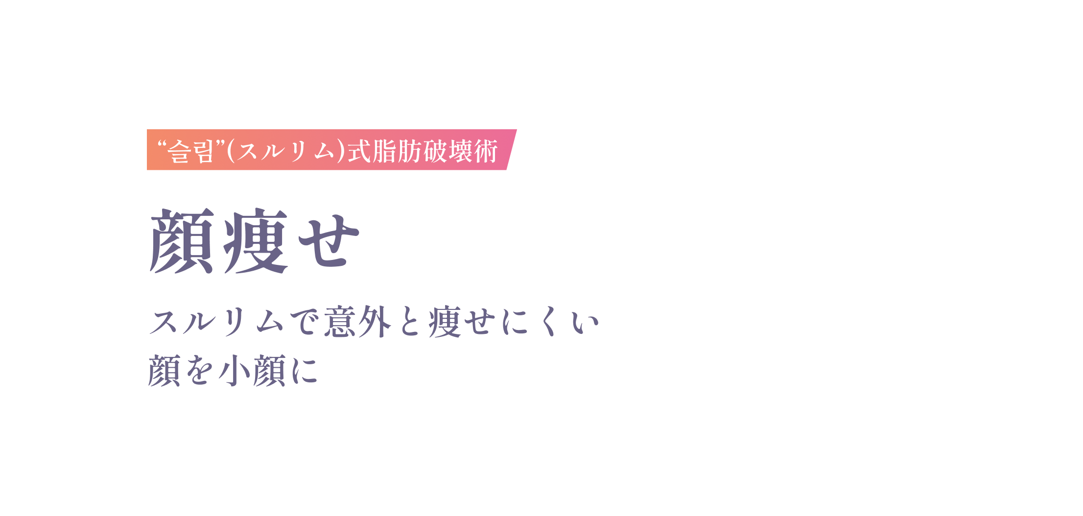 슬림(スルリム)式脂肪破壊術 顔痩せ