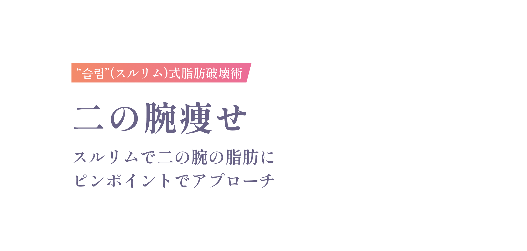 슬림(スルリム)式脂肪破壊術 二の腕痩せ