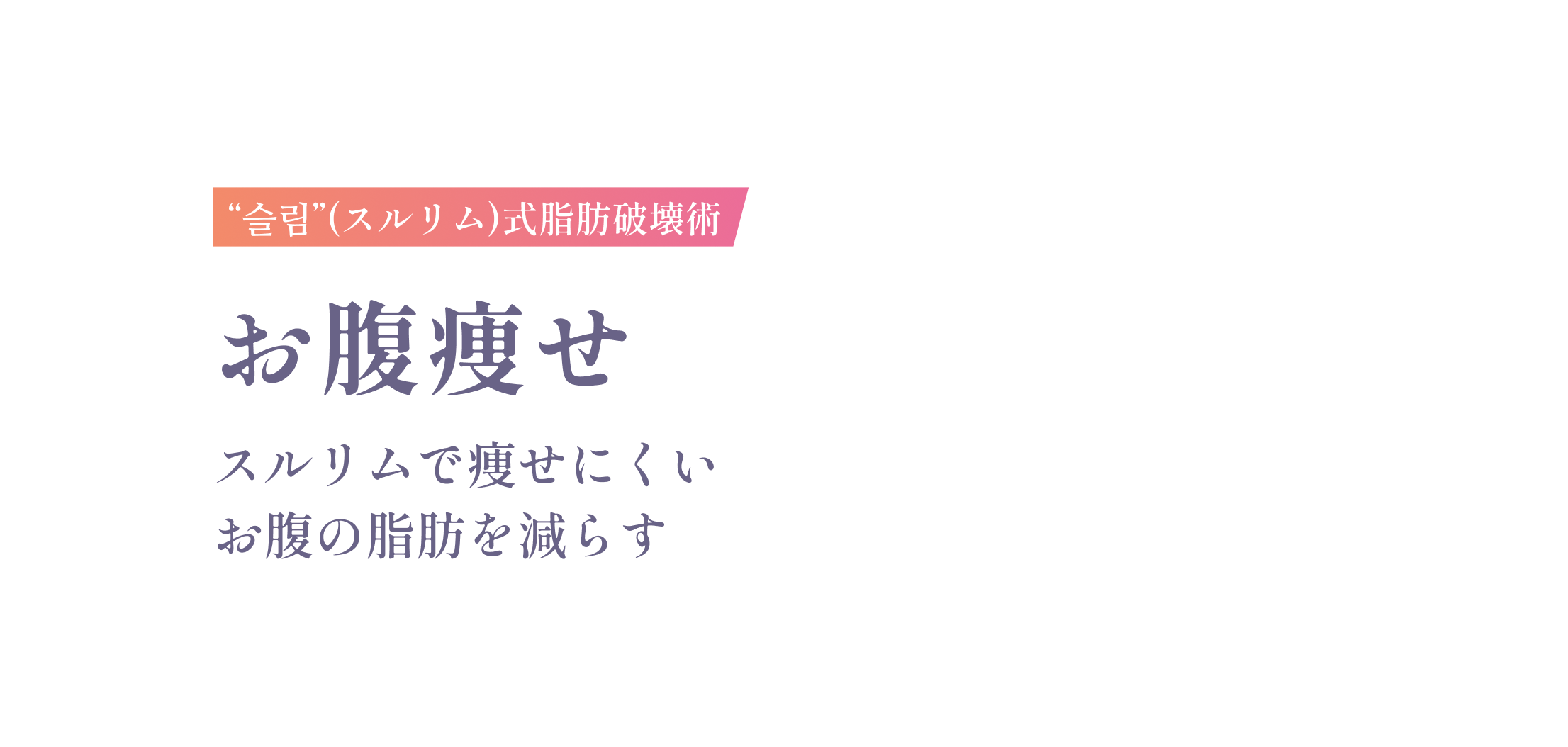 슬림(スルリム)式脂肪破壊術 お腹痩せ