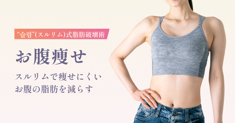 슬림(スルリム)式脂肪破壊術 お腹痩せ