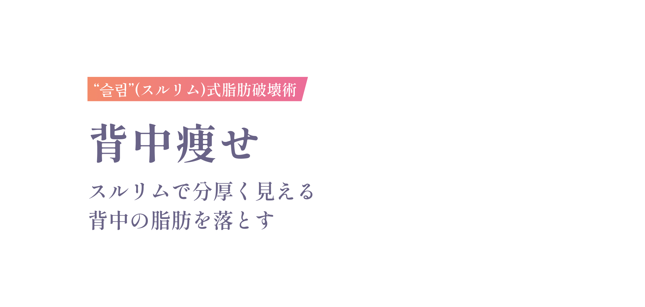 슬림(スルリム)式脂肪破壊術 背中痩せ