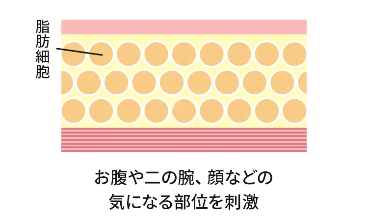 脂肪減少の流れ