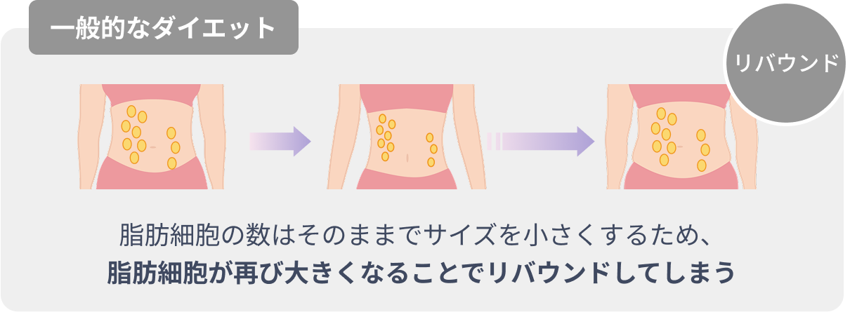 通常の方法で痩せたときの脂肪細胞について