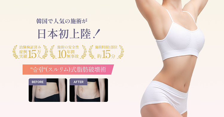 슬림(スルリム)式脂肪破壊術