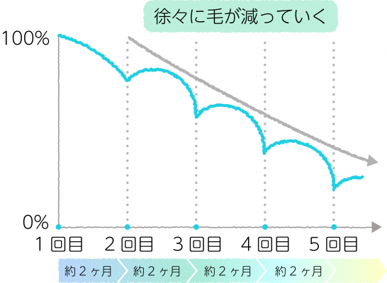 徐々に毛が減っていくことを示すグラフ