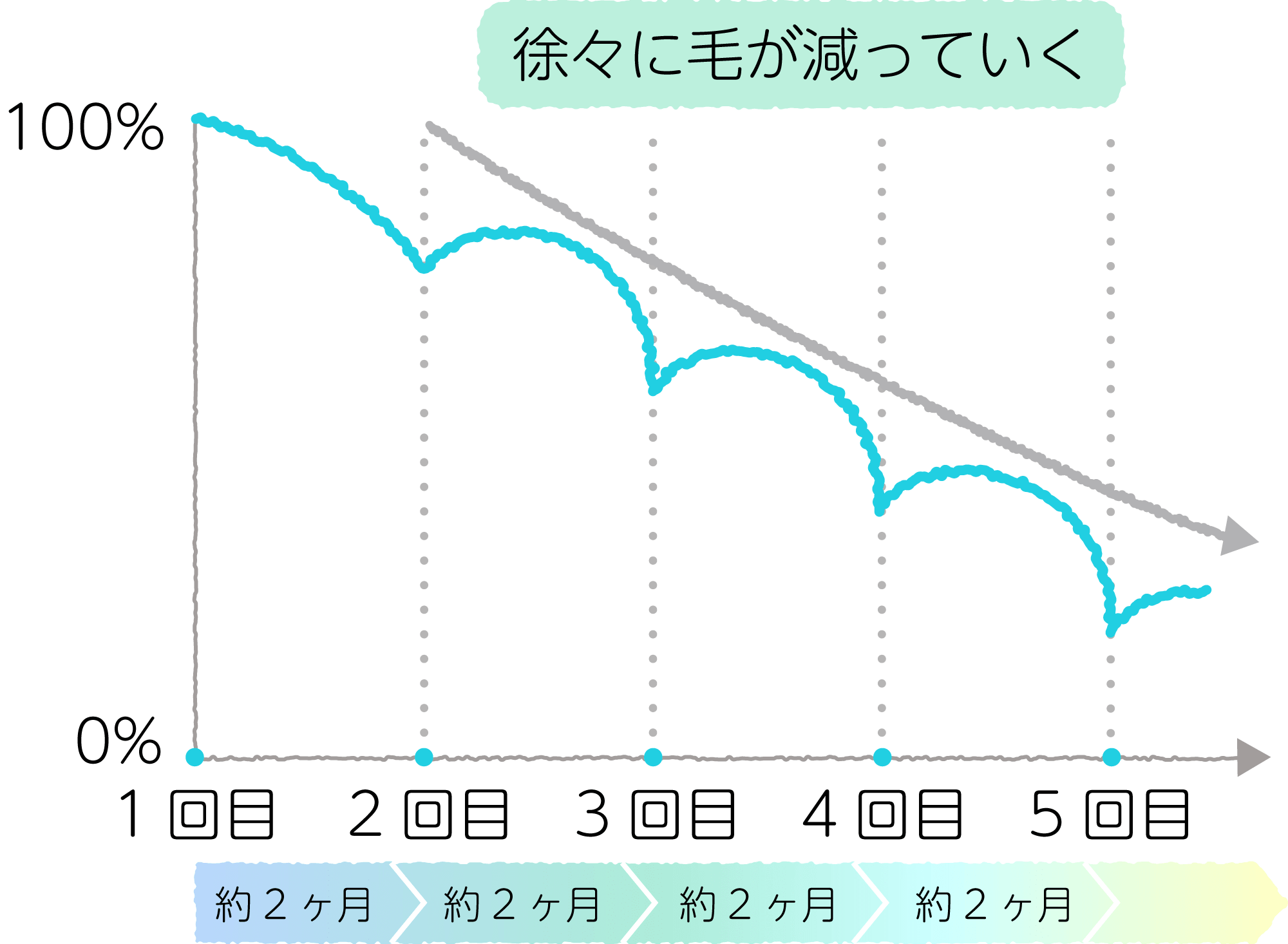 医療脱毛の経過のイメージ