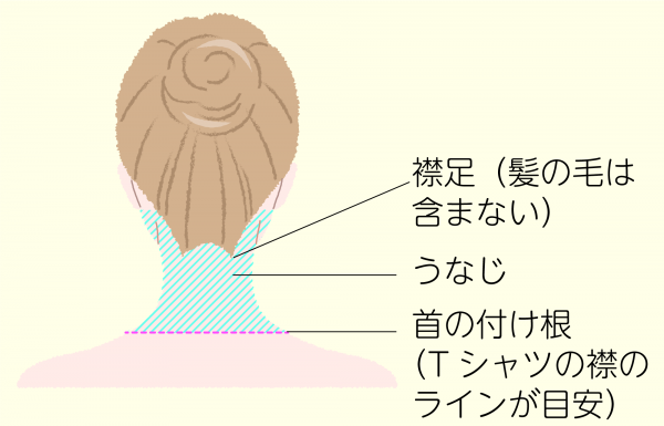 うなじの範囲を図版で説明。襟足やうなじ、首の付け根を表しています。