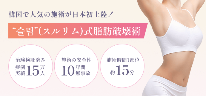 スルリム式脂肪破壊術