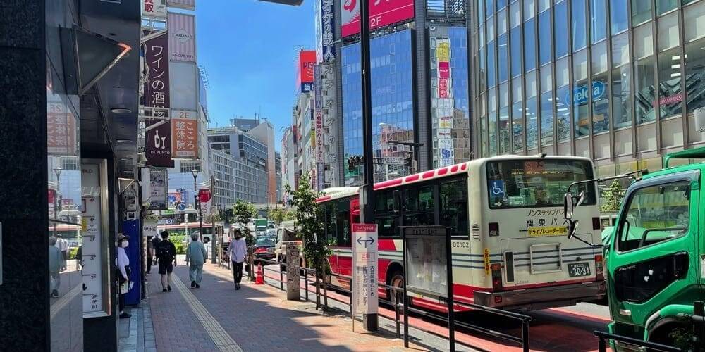 東京メトロ・都営地下鉄「新宿西口駅」D5出口の左手の歩道