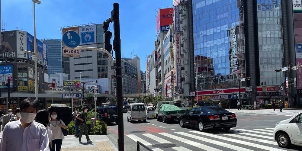 東京メトロ・都営地下鉄新宿西口駅D5出口の左手の歩道を進むと右手に出てくる横断歩道
